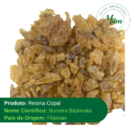 Resina Copal das filipinas