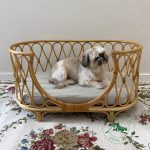 Cama Pet Bali Areia