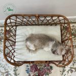 Cama Pet Java Mel