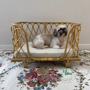 Cama Pet Manila Trama Clara